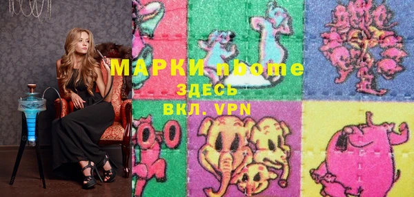 стаф Аркадак