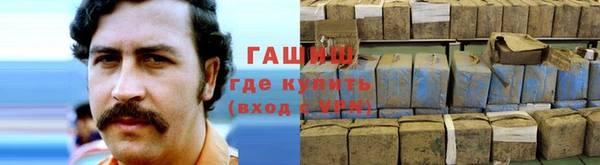 стаф Аркадак