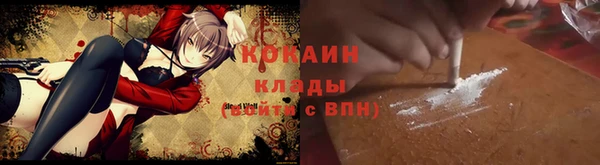 стаф Аркадак