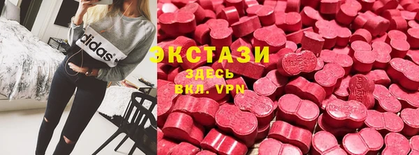 стаф Аркадак