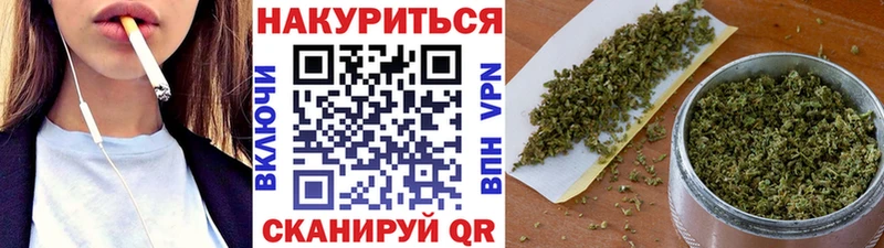 Бошки Шишки тримм гидра ссылки Болотное